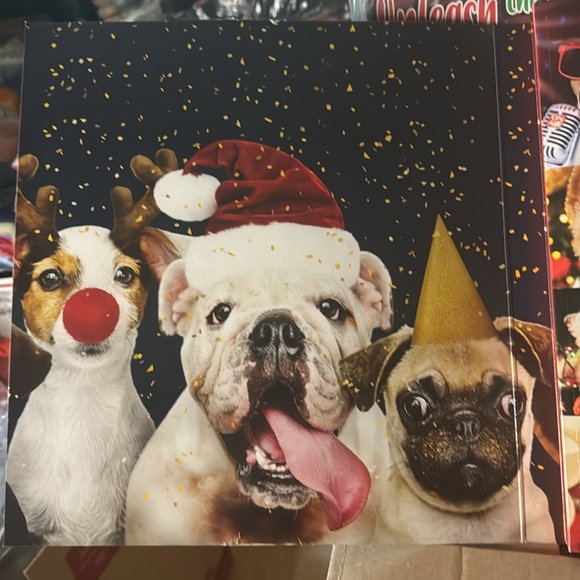 NIB Advent Calendar. 15 Days of Socks. Women’s Shoe Size 4-10. Ready to … Dogs - Picture 9 of 11